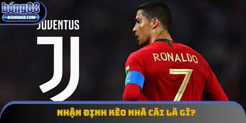 Nhận định kèo nhà cái là khái niệm mà ai bet bóng cũng phải biết Nhận định kèo nhà cái là khái niệm mà ai bet bóng cũng phải biết